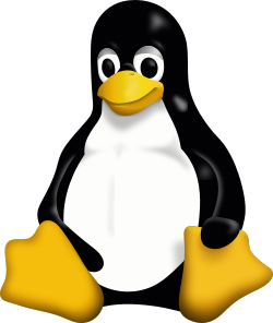 Le plan de succession pour le noyau Linux après le départ de Linus Torvalds est qu’il n’y en a aucun